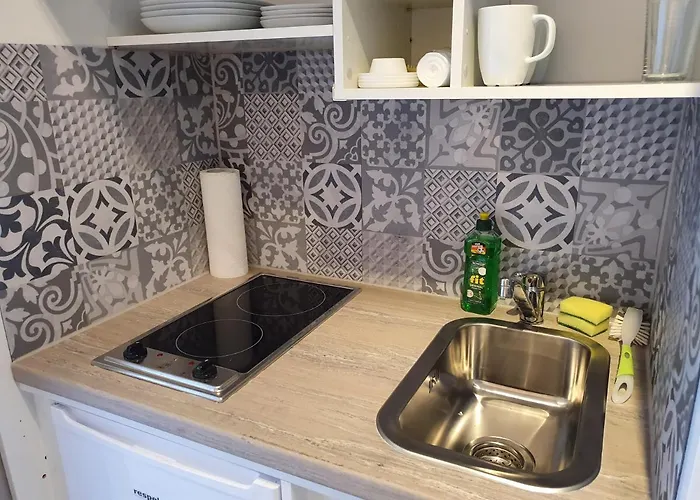 公寓 Harz Relax - Vier Jahreszeiten 戈斯拉尔